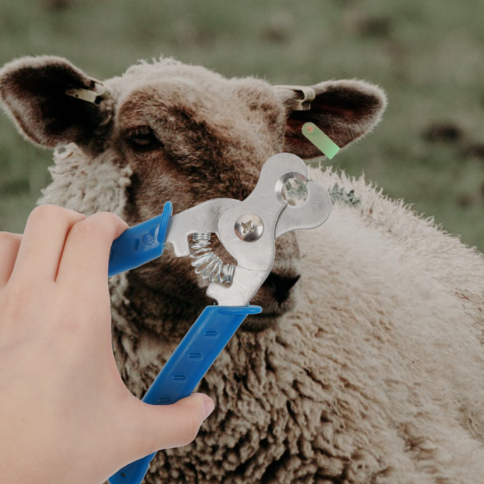 1 buah Alat Pembuka Tag Teling - Livestock Ear Tag ulasan dan harga