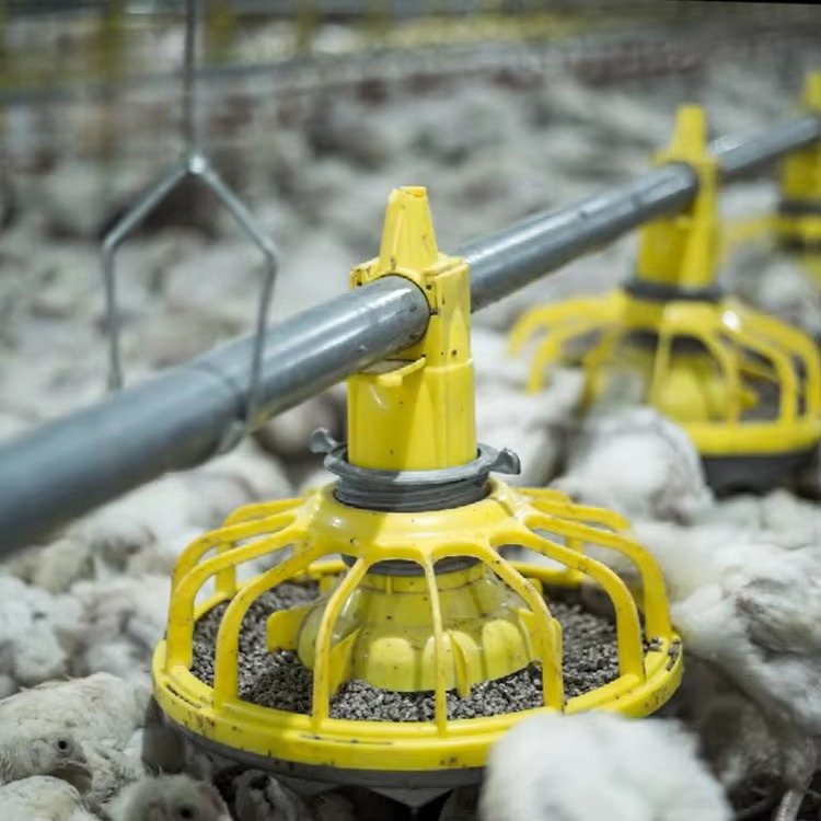 Peralatan pertanian ayam dan u - Agriculture Farming Equipments ulasan dan harga