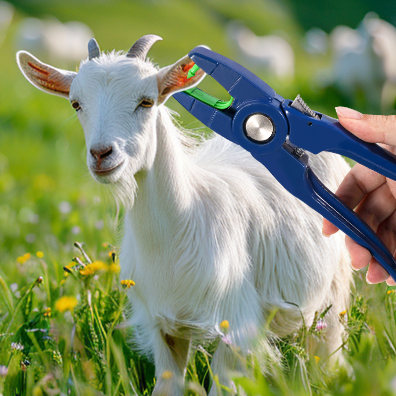 100pcs Penjepit Label Telinga  - Livestock Ear Tag ulasan dan harga