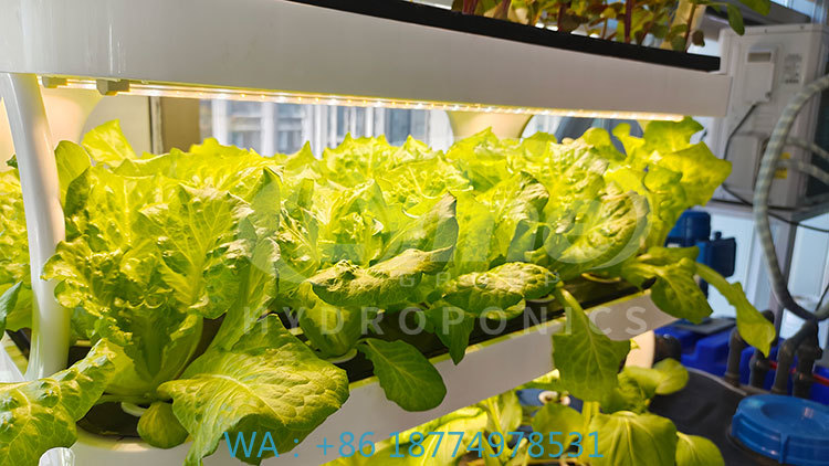 Mesin Pertanian untuk Menanam  - Agriculture Farming Equipments ulasan dan harga