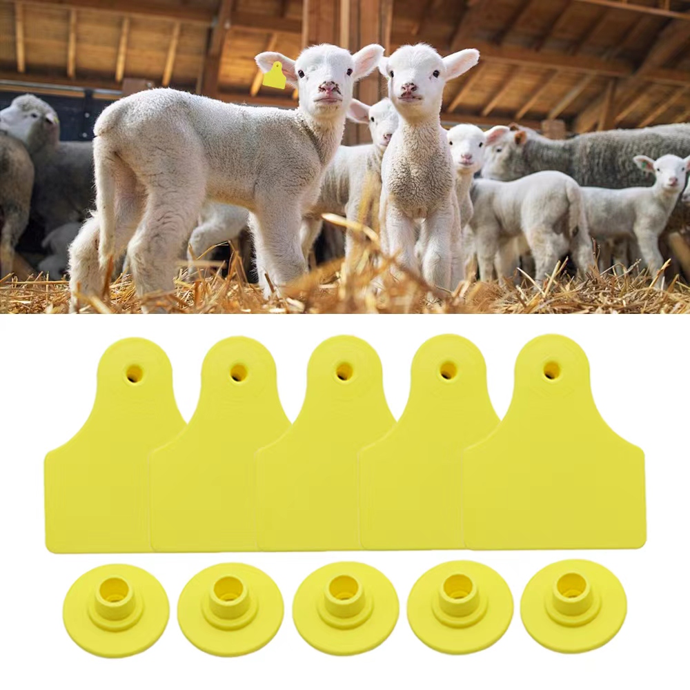 20 Buah Label Telinga Kosong u - Livestock Ear Tag ulasan dan harga