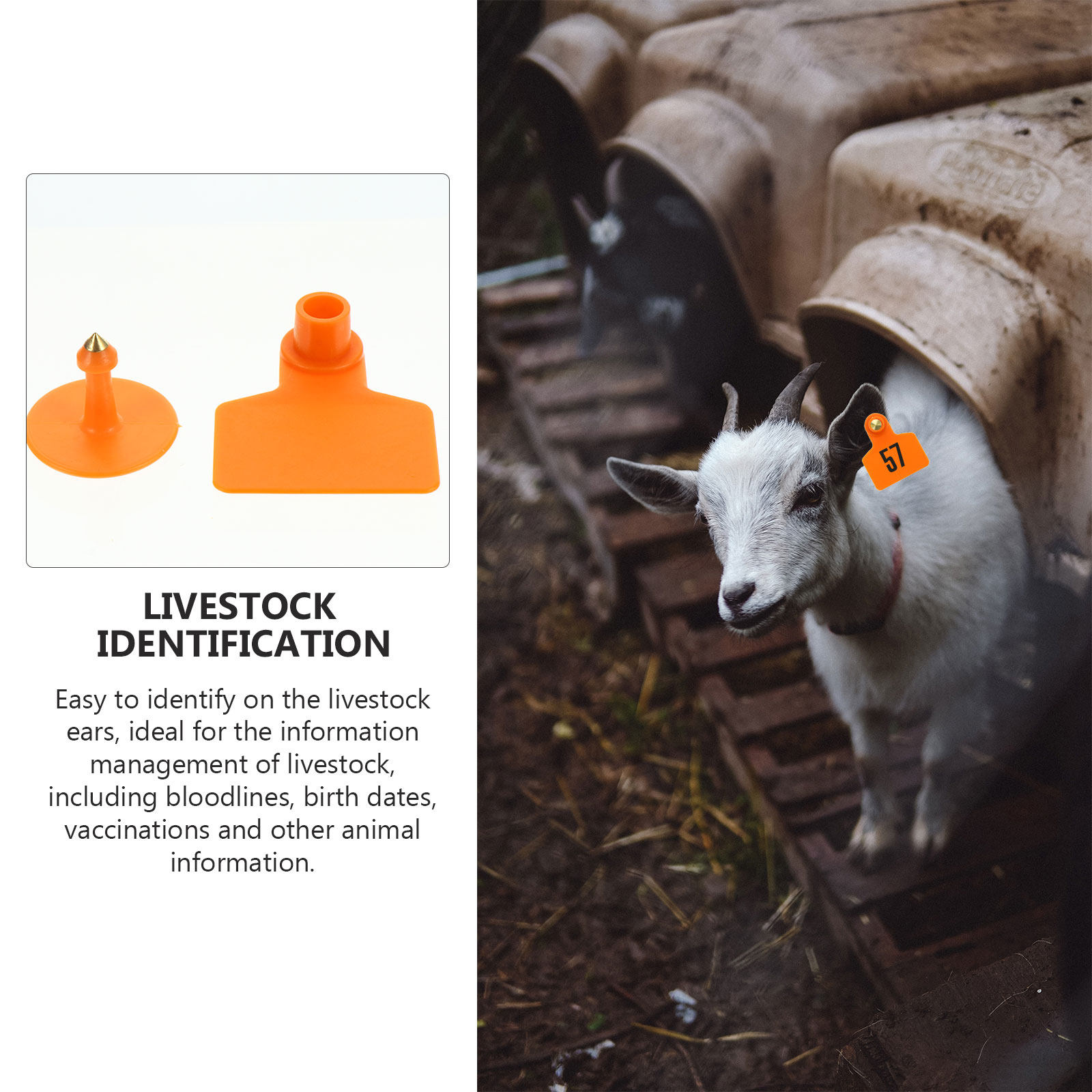 100 buah Tag Telinga Hewan Ram - Livestock Ear Tag ulasan dan harga